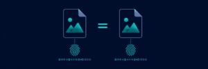 Illustration zweier identischer Bilddateien mit je einem Fingerabdruck-Icon und übereinstimmender Hex-Zeichenkette darunter, verbunden durch ein Gleichheitszeichen.